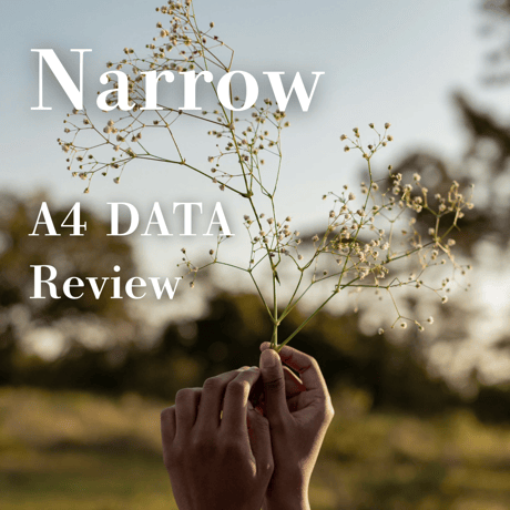 【A4印刷】Narrow/振り返り:英語/日本語