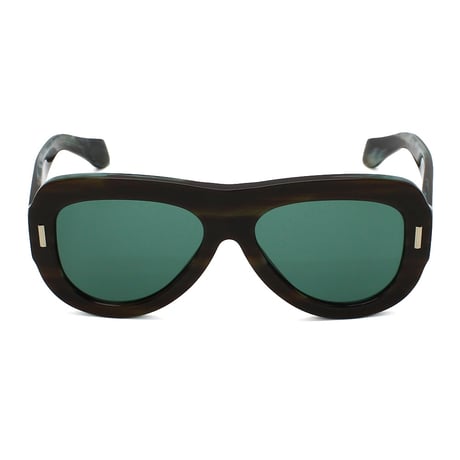 サルヴァトーレ フェラガモ Salvatore Ferragamo SF2029SE 221 サングラス グローバルフィット メガネ 眼鏡 UVカット レディース グリーン ストライプブラウン