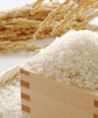 農薬・化学肥料不使用米　白米　5kg