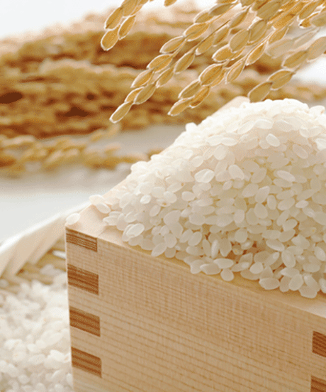 農薬・化学肥料不使用米　白米　5kg