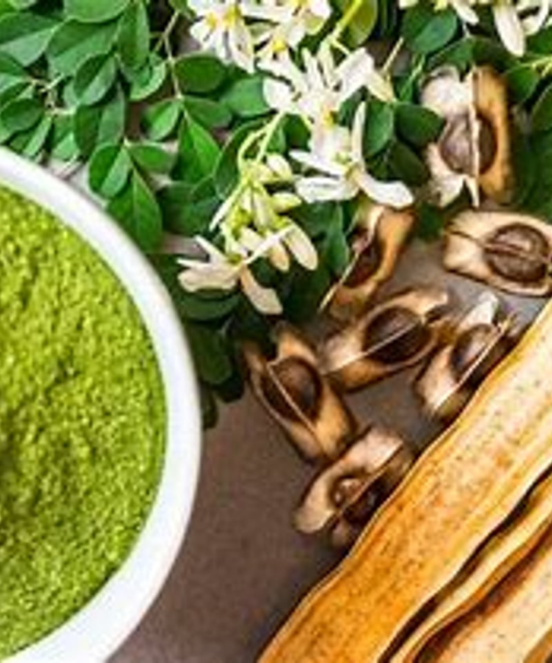 モリンガゴールド 90g 90種類以上の栄養素 | EMメイト