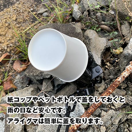 あらいぐま捕獲器 アライグマ捕り 捕獲 シャックル付 あらいぐま用 アライグマ取り 仕掛け 待ち伏せ 餌入れ お手ロック