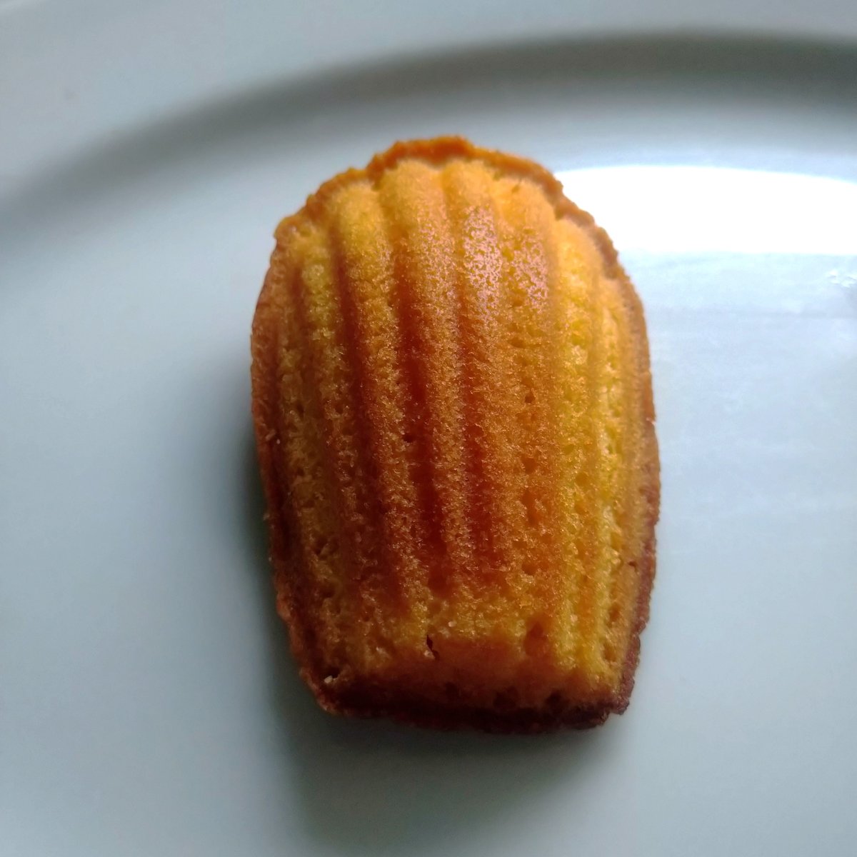 マドレーヌ様　ご相談専用ページ 熱海橙マドレーヌ5個箱入り | 熱海カフェ/ATAMI Cafe shop