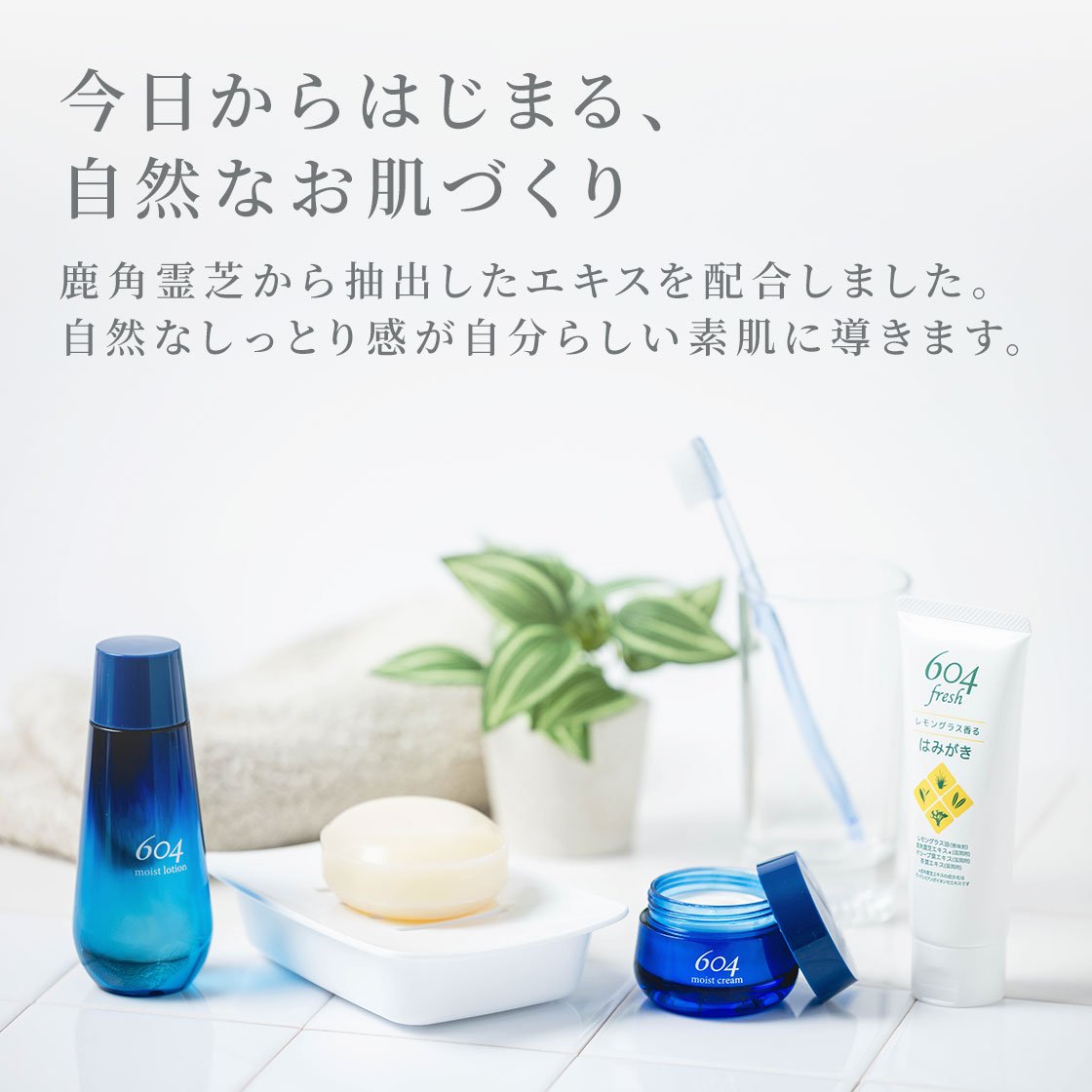 604トライアルボックス 604 TRIAL BOX | 株式会社ミゾタ 604 鹿角霊芝
