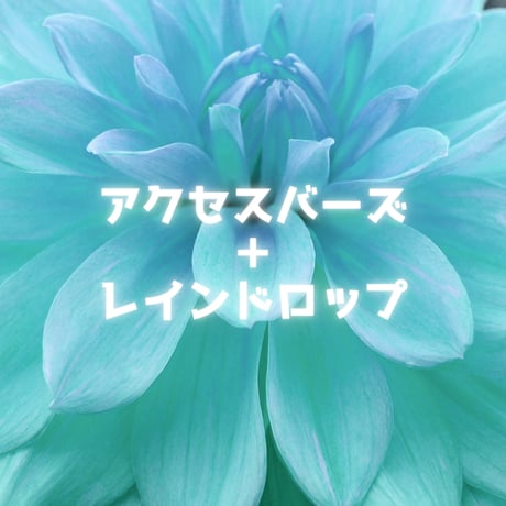 アクセスバーズ | STORES