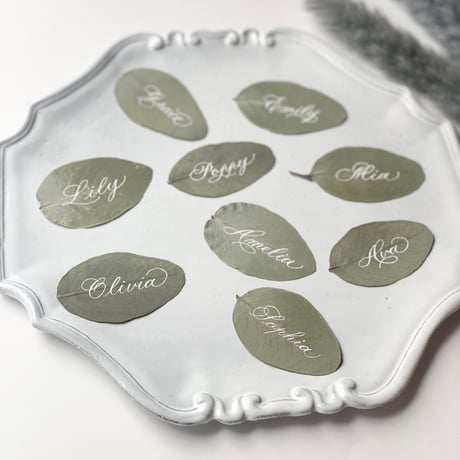 Eucalyptus Place Card