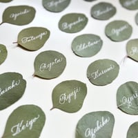 Eucalyptus Place Card