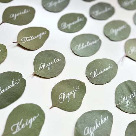 Eucalyptus Place Card