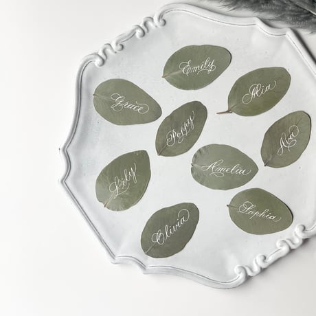 Eucalyptus Place Card