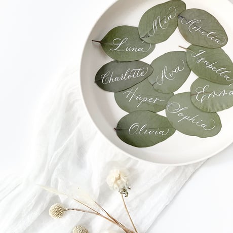 Eucalyptus Place Card