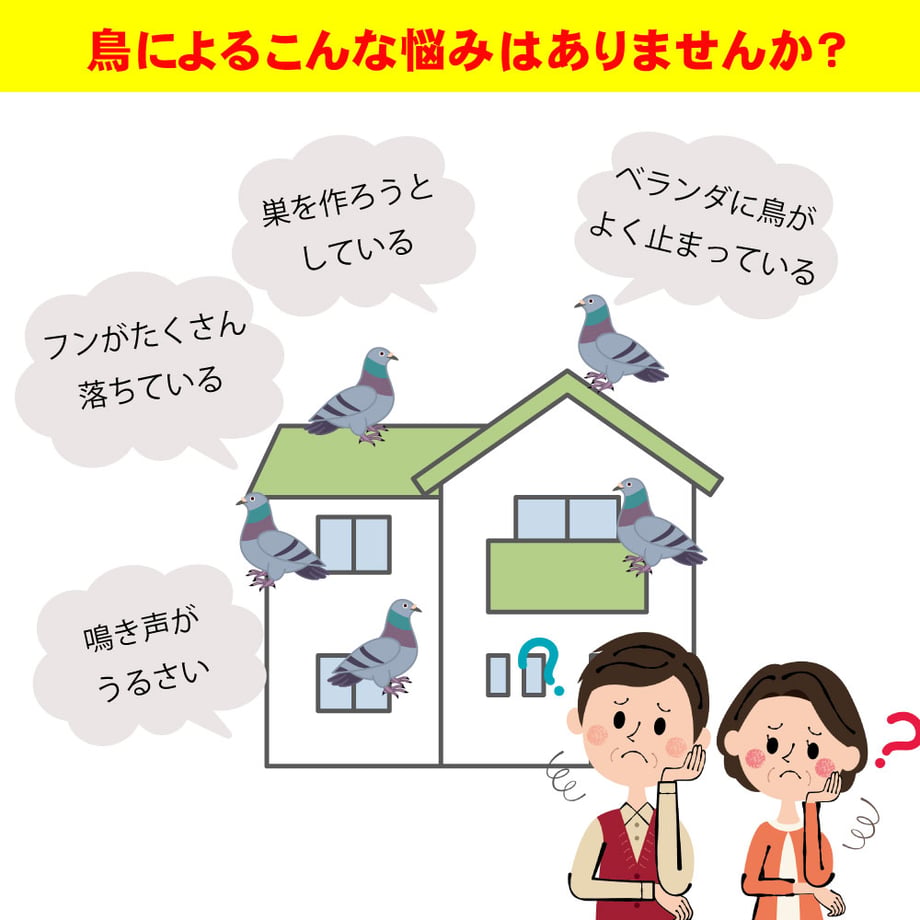 66519b52b859d320c8469cb7