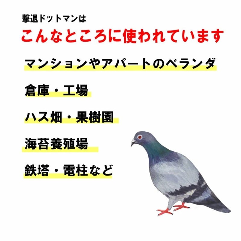 ハトよけ 撃退ドットマン テーププロ 50ｍ 3個セット | むっちゃん商店