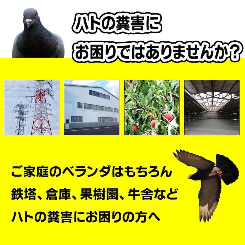 ハトよけ 撃退ドットマン テーププロ 50m 3個セット ムクドリ ハトよけ 撃退ドットマン テーププロ 50m 3個セット ムクドリ