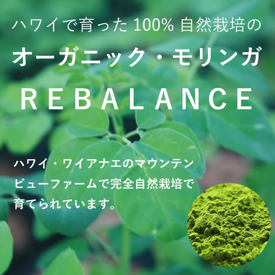 6653fe0b29196f0174c8ed86