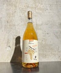 【オレンジワイン】スピリタス テッレ マルヴァジーア オレンジ 2024/カンティーナ  オルソーニャ 750ml