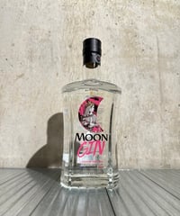 ムーン ジン 700ml