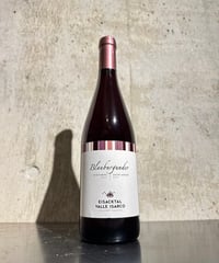 【赤ワイン】ピノ ネロ 2024/カンティーナ ヴァッレ イサルコ 750ml