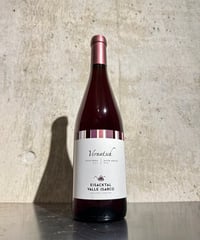【赤ワイン】スキアーヴェ 2023/カンティーナ ヴァッレ イサルコ 750ml