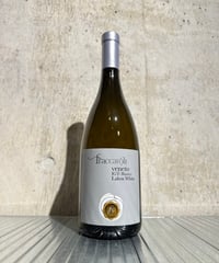 白ワイン】大阪 デラウェア 2024/カタシモワイナリー 750ml | 谷酒店