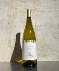 【白ワイン】ソーヴィニヨン 2023/カンティーナ ヴァッレ イサルコ 750ml