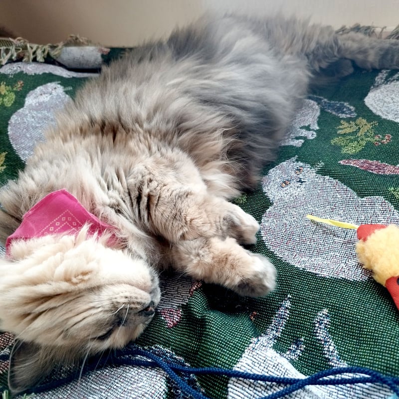 松尾ミユキ】タペストリーラグ｜グリーン（緑）｜Cat&Leaf｜猫 ネコ