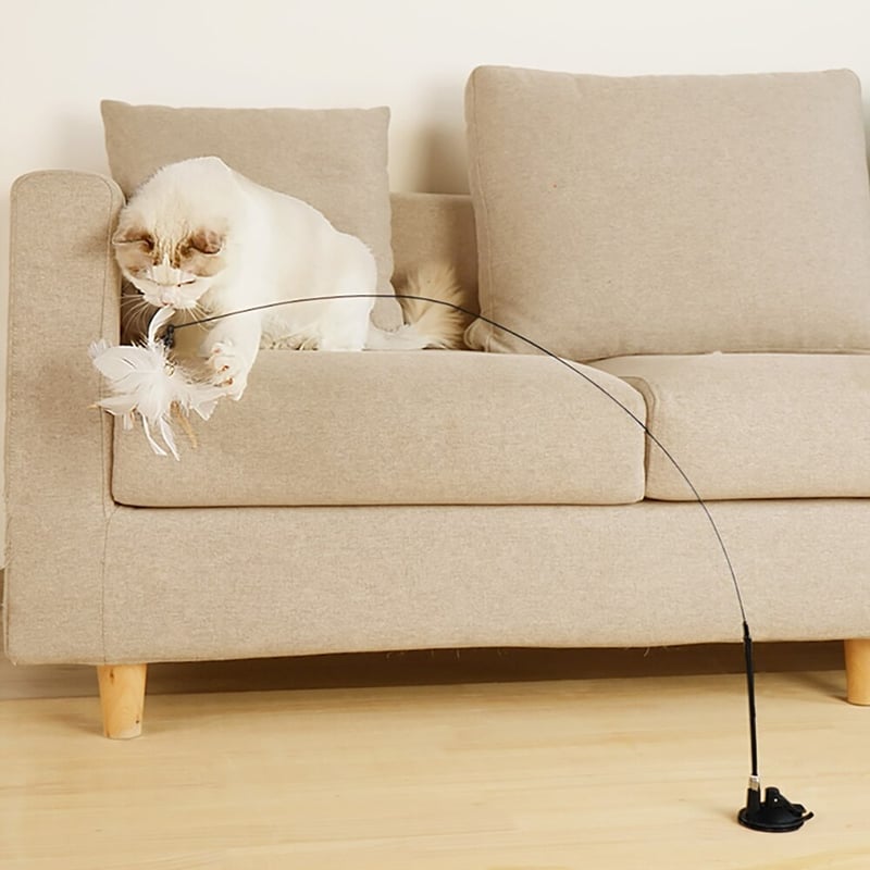 じゃれねこ『5月イベ☆ラッキーセット29♡2ペア』 じゃれねこ『5月イベ☆ラッキーセット29♡2ペア』