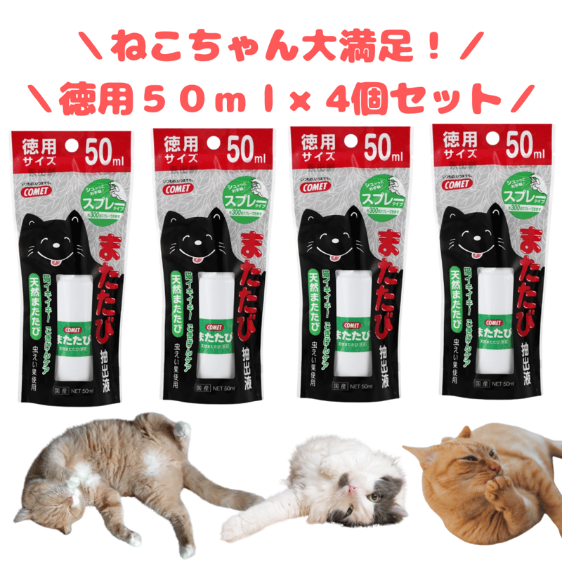 ☆くまねこ様☆専用出品商品です！ 【公式通販】