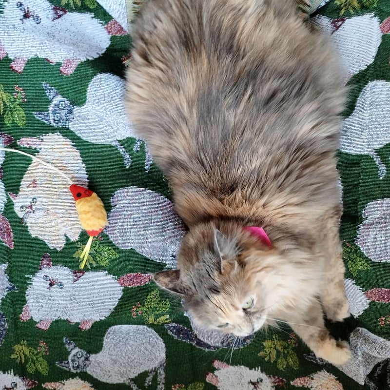 新品　松尾ミユキ　ゴブラン　タペストリーラグ　キャット＆リーフ　猫　ねこ　ネコ 松尾ミユキ タペストリーラグ ラグ ブランケット ソファーカバー