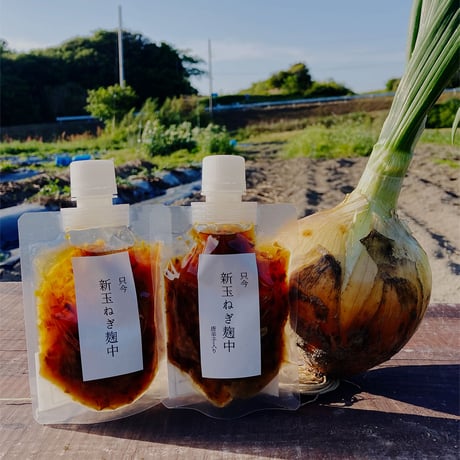 もみじさん専用　新玉ねぎ　7＋8kg 新玉ねぎ | STORES