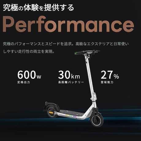 Everest Xing EX15　特定小型原付電動キックボード