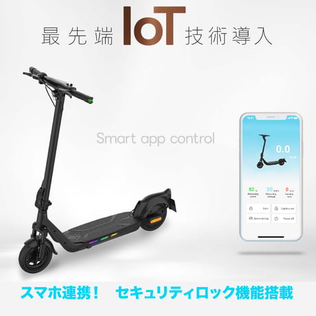 Everest Xing EX15　特定小型原付電動キックボード