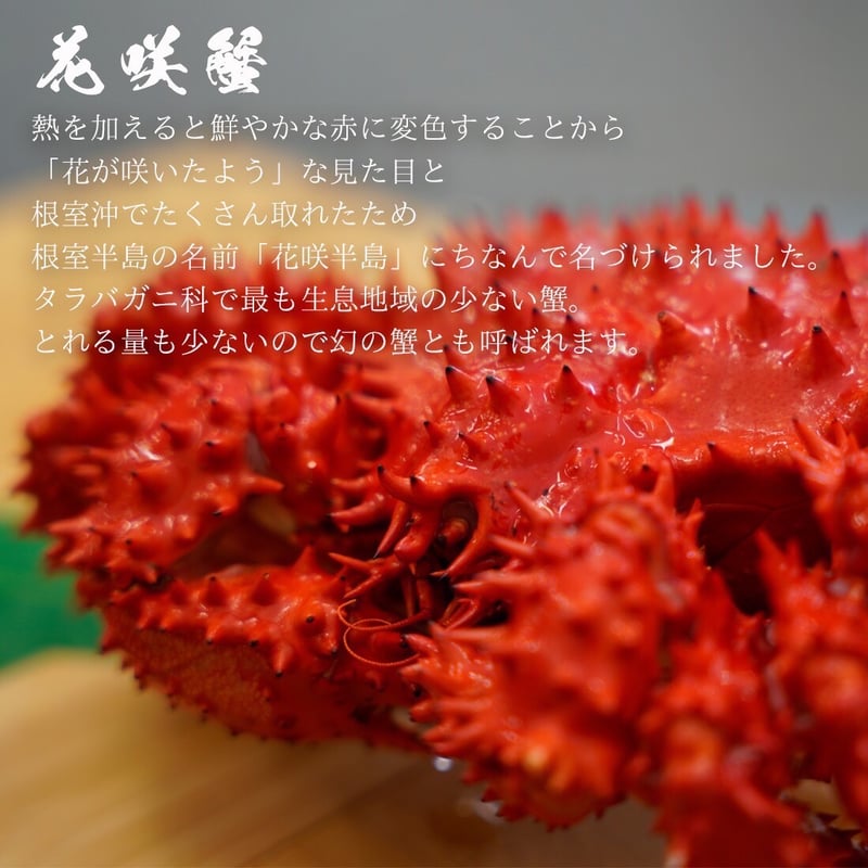 Sun様　花咲蟹 北海道産 花咲蟹 約700g | みっけShop