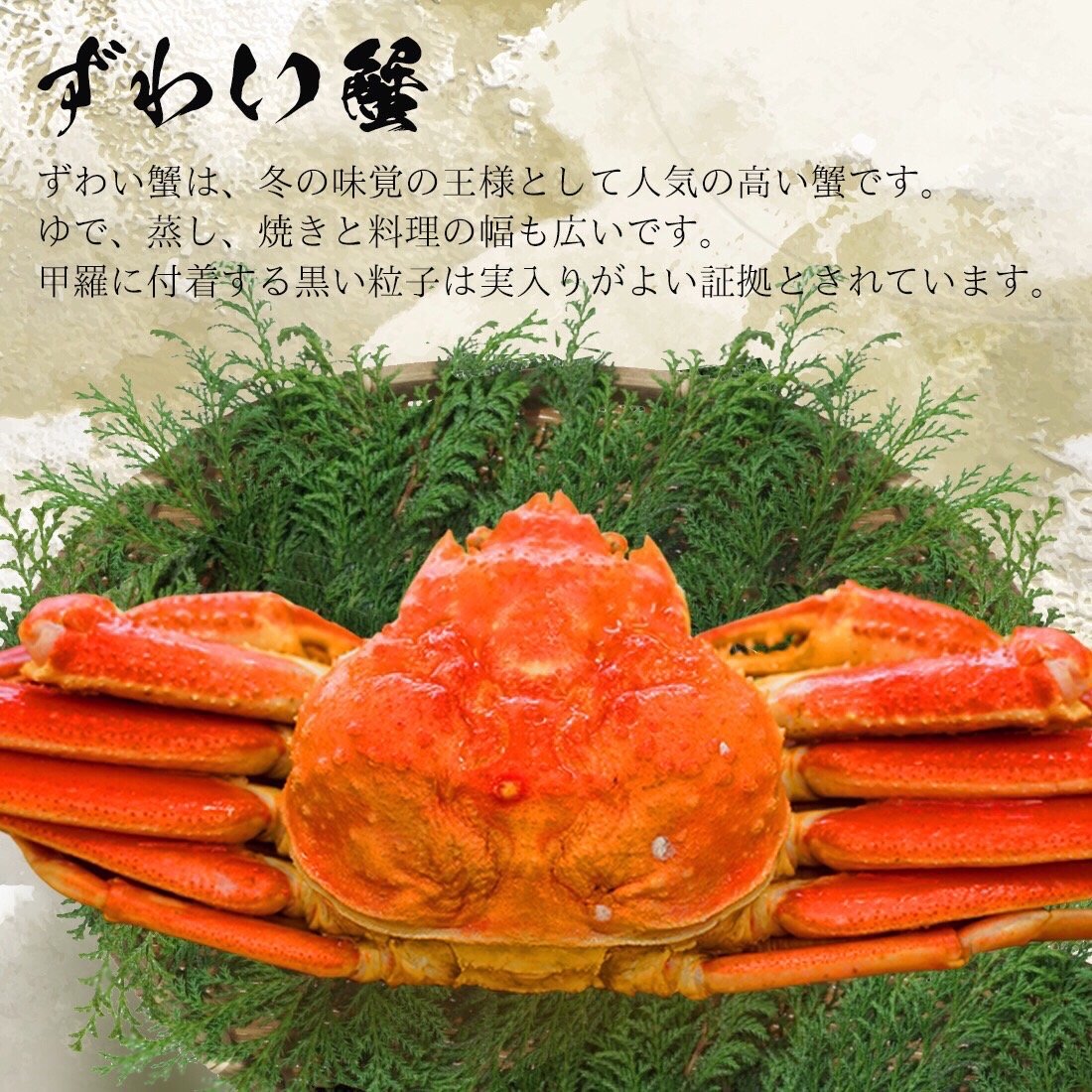 海外産 姿 ズワイ蟹 約900g | みっけShop