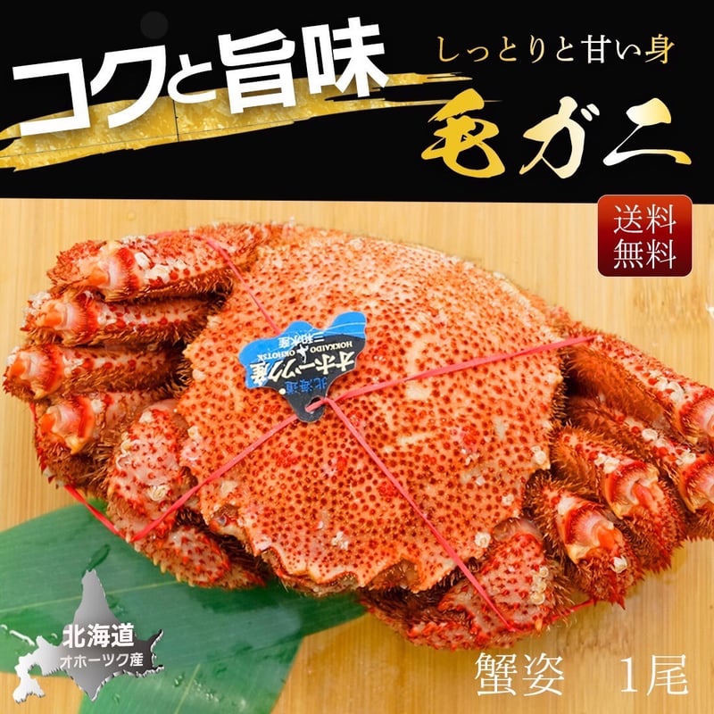 北海道産★毛蟹大size 🦀ジャンボ！】特大毛蟹 1尾（約750gサイズ） 北海道産 ボイル