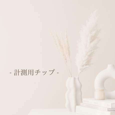 計測用チップ