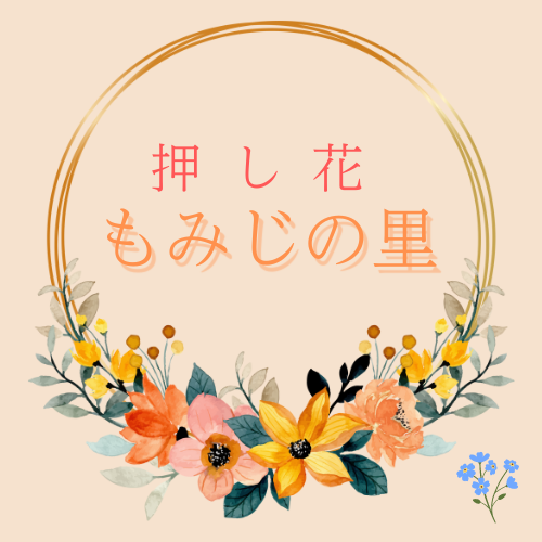 押し花もみじの里
