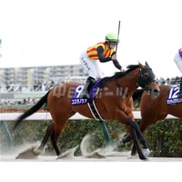第41回フェブラリーステークス ペプチドナイル（A4） | 中日新聞