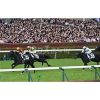 第91回日本ダービー ダノンデサイル（A4） | 中日新聞フォト