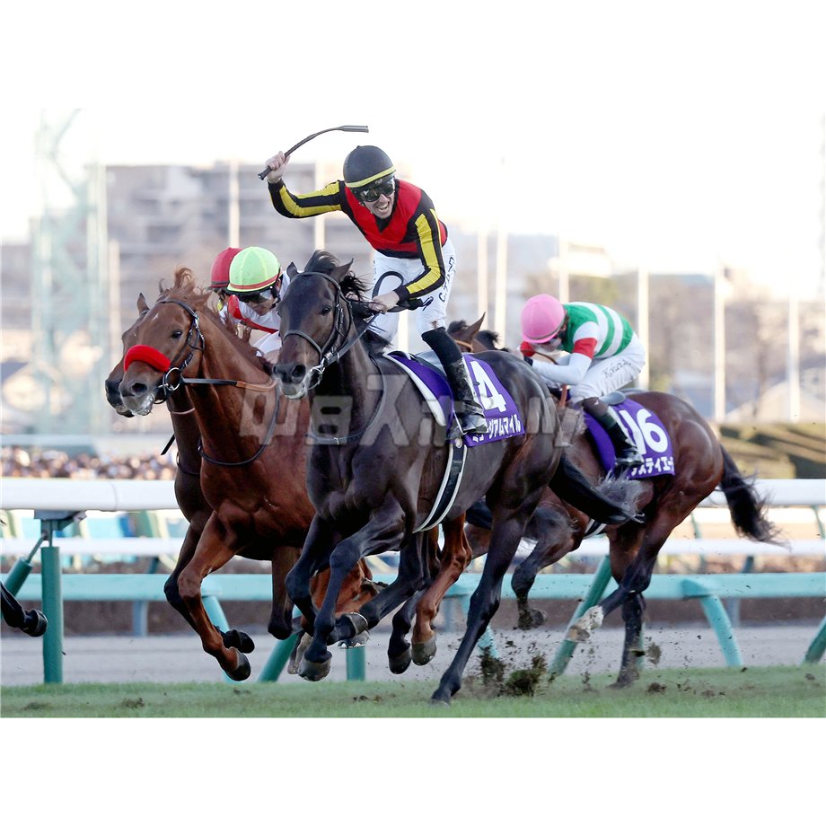 第70回有馬記念 ミュージアムマイル（A4） | 中日新聞フォトサービス