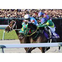 第59回スプリンターズステークス ウインカーネリアン（A3） | 中日新聞