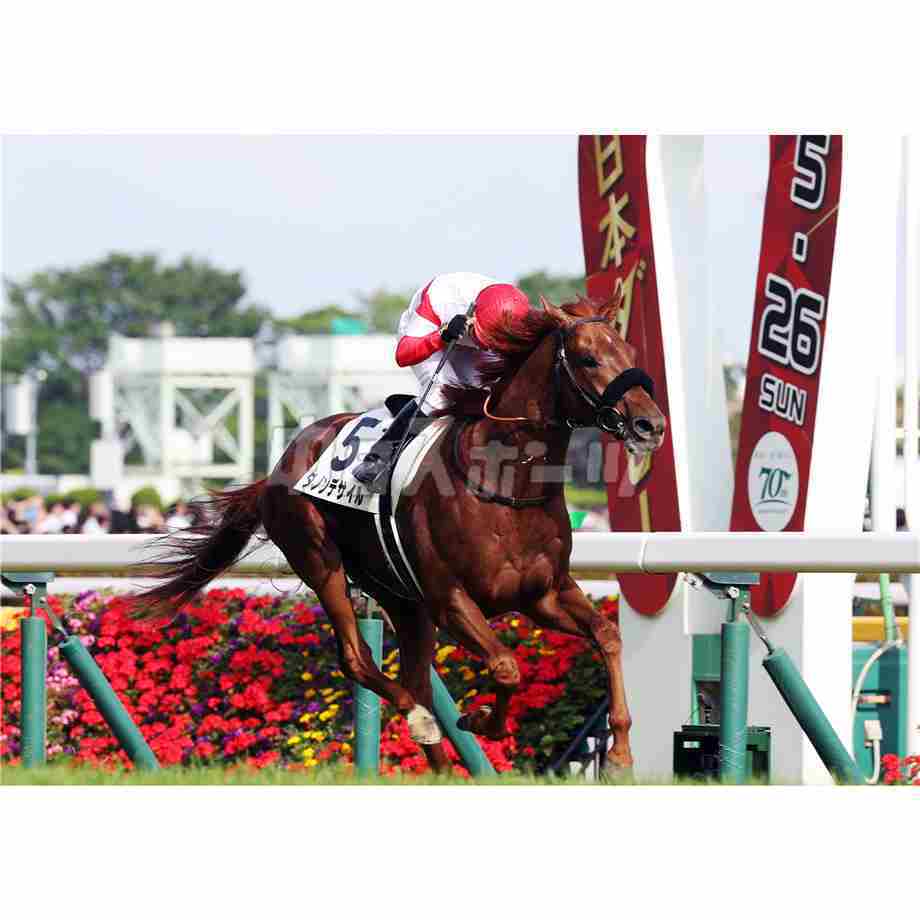 日本ダービー　東京競馬場　ダノンデザイル 日本ダービーレース後コメント】ダノンデサイル横山典弘騎手ら