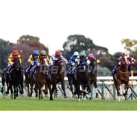 第59回スプリンターズステークス ウインカーネリアン（A3） | 中日新聞