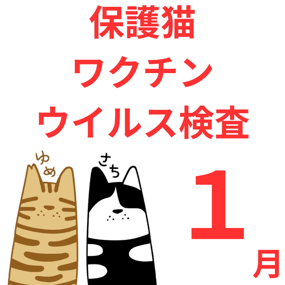 693eaf404c27e882e445b9cb