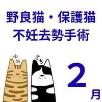 （２月）夢幸サポートプログラム手術支援チケット（協力病院共通）