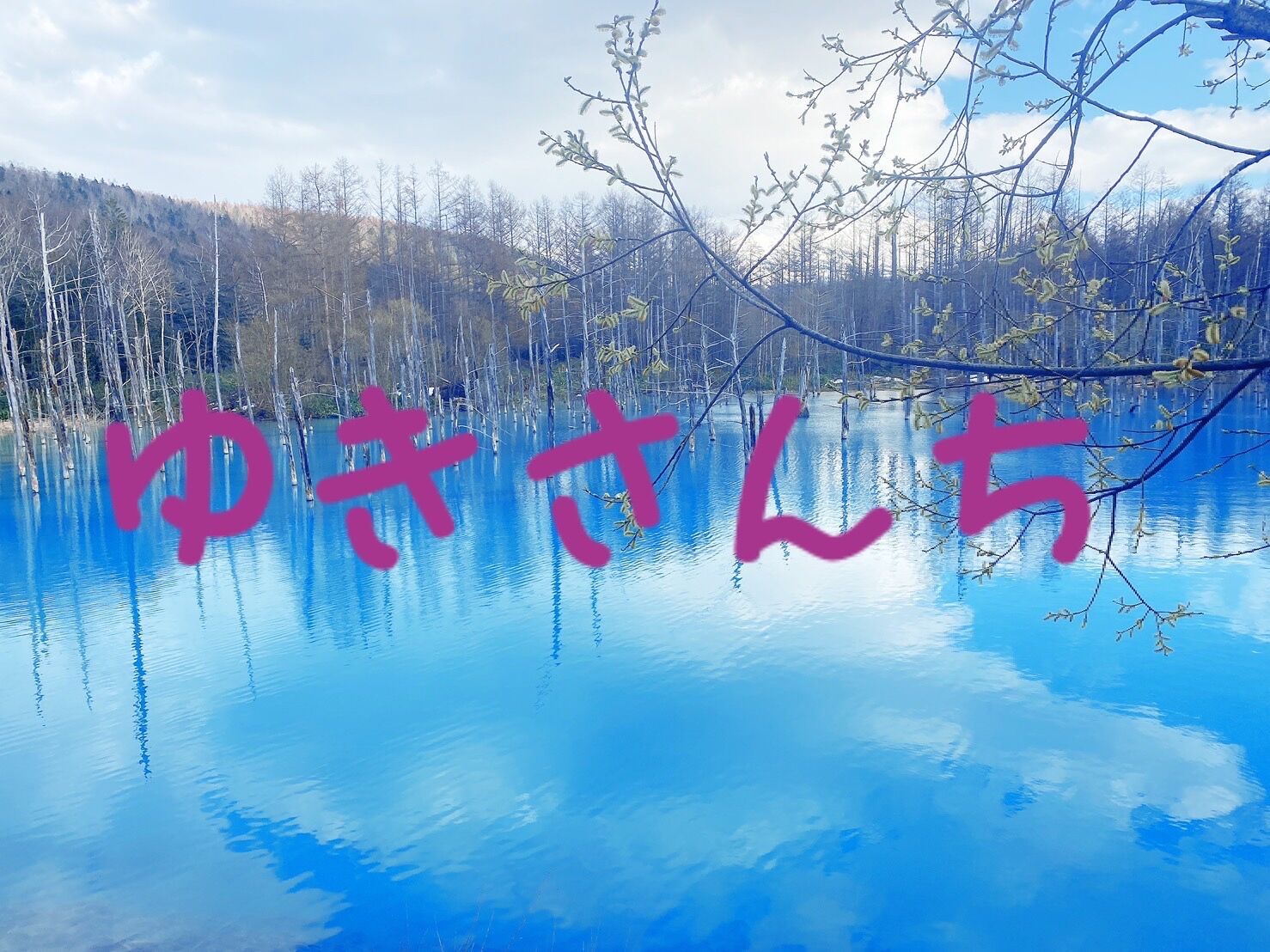 ゆきさんち
