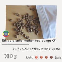 エチオピア　カッファ　マザーツリー　ボンガ　ウォッシュ　G1 100g