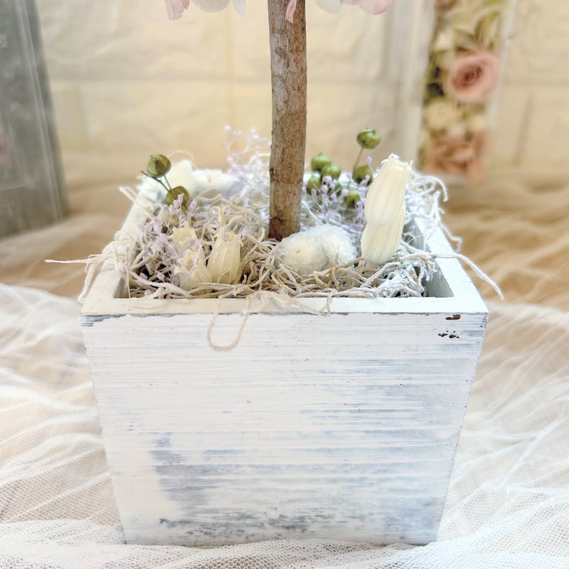 紫陽花のトピアリー‪ꕤ*｡ | ‪‬Luana_mako‬