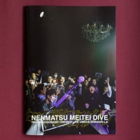 年末酩酊ダイブ LIVE PHOTO BOOK