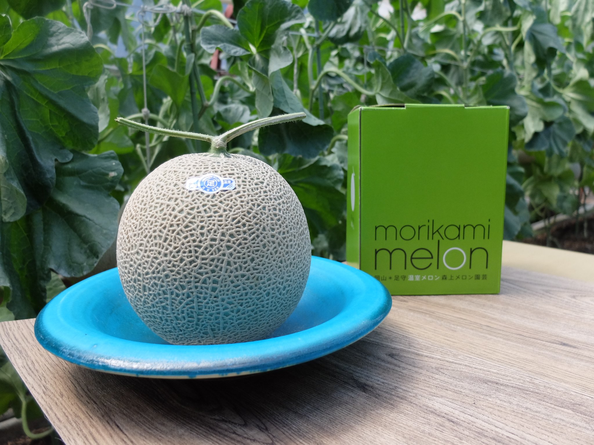 森上メロン園芸」岡山足守メロン 1玉ギフト箱入り 送料無料 7月から