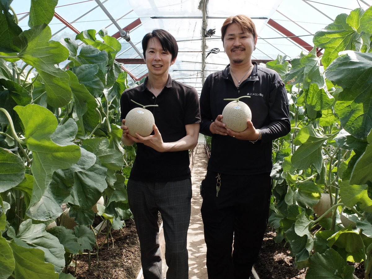 森上メロン園芸」岡山足守メロン 1玉ギフト箱入り 送料無料 7月から